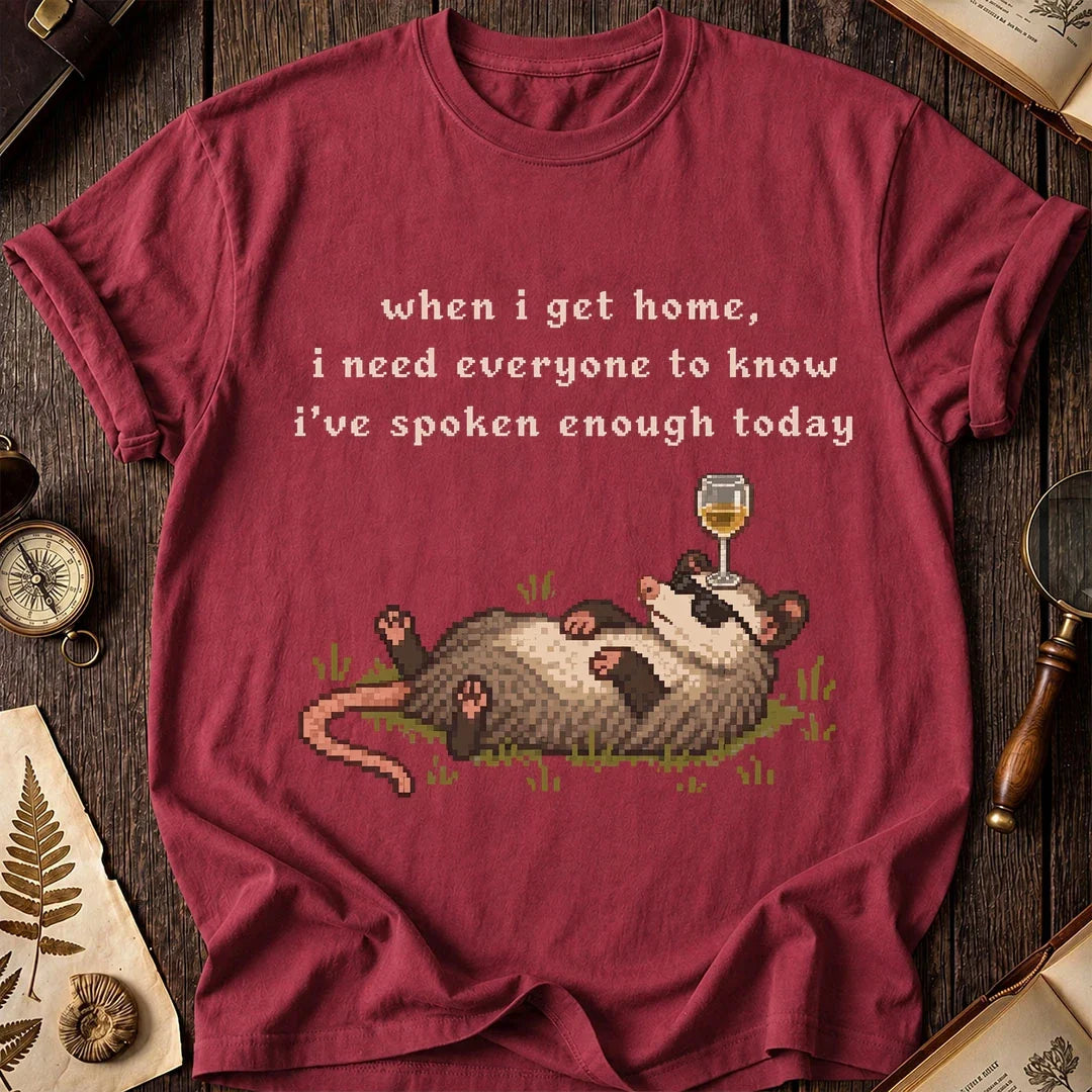 Homebody Possum T-Shirt product image 5