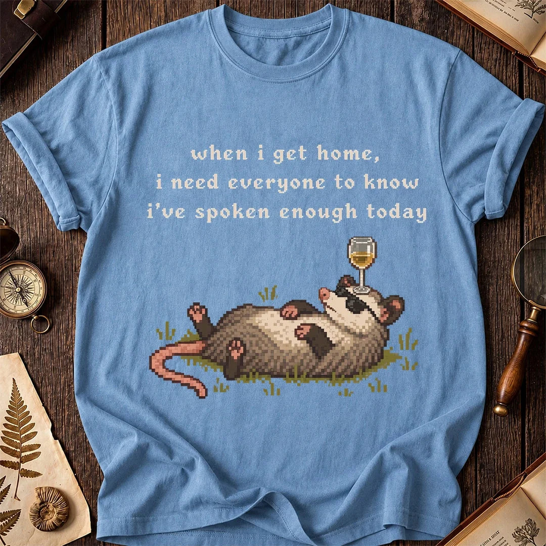Homebody Possum T-Shirt product image 4