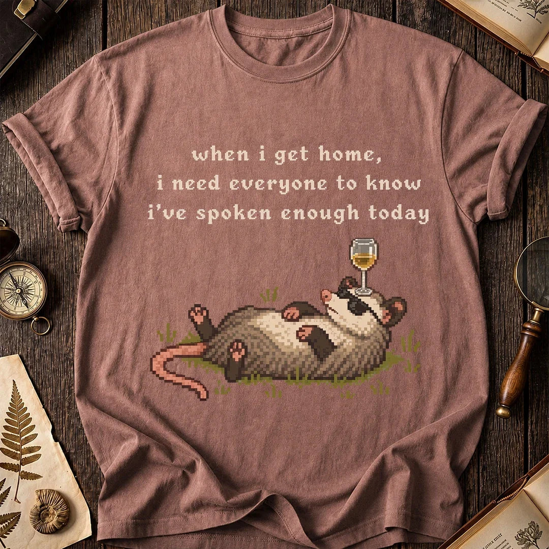 Homebody Possum T-Shirt product image 8