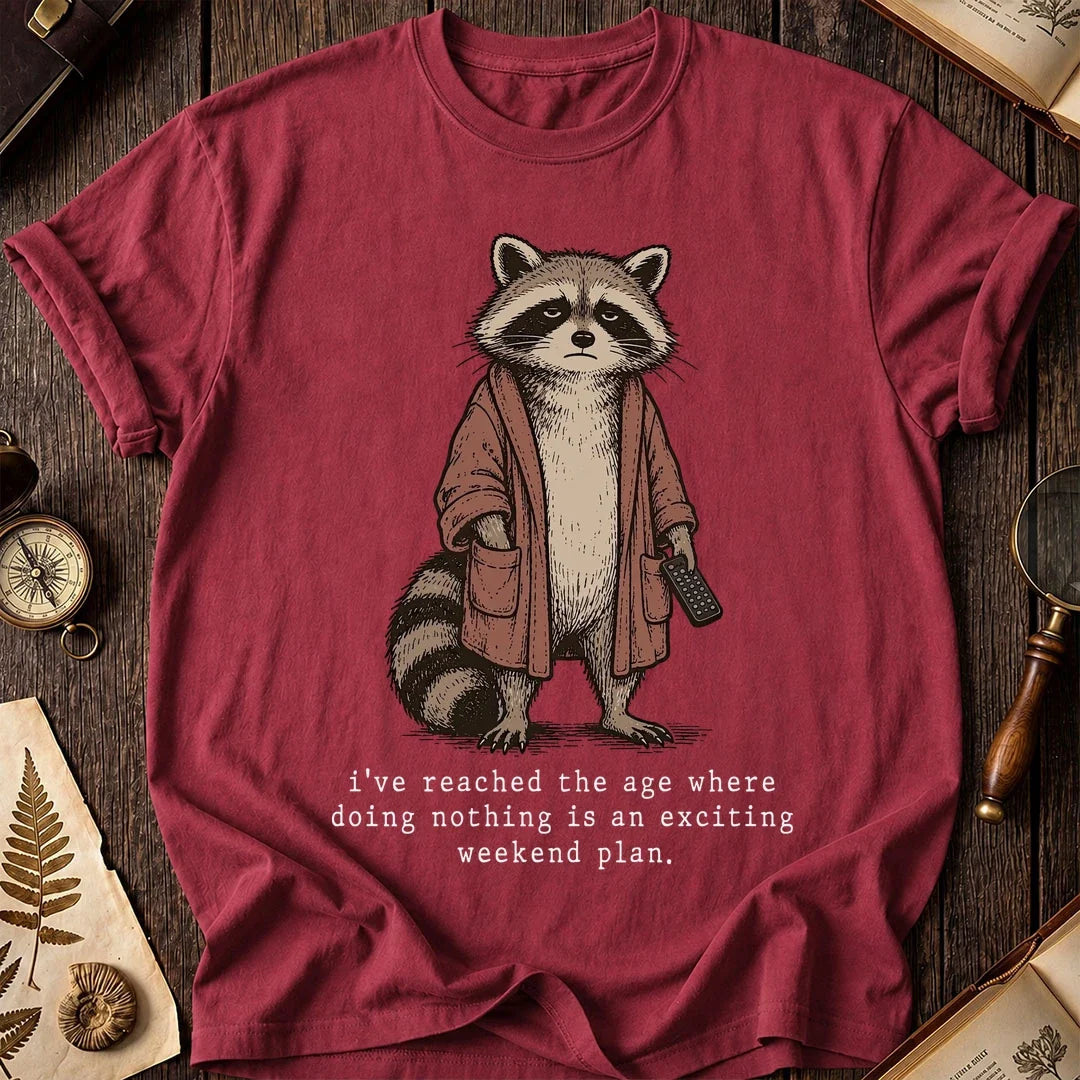 No Plans Raccoon T-Shirt product image 5