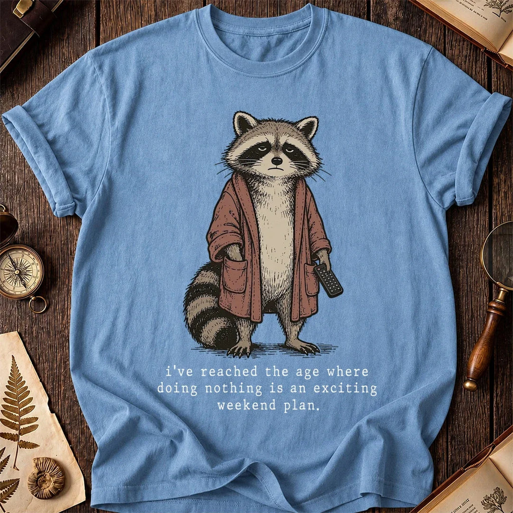 No Plans Raccoon T-Shirt product image 4