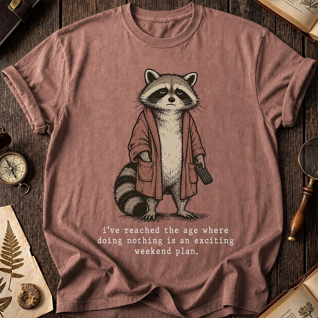 No Plans Raccoon T-Shirt product image 8