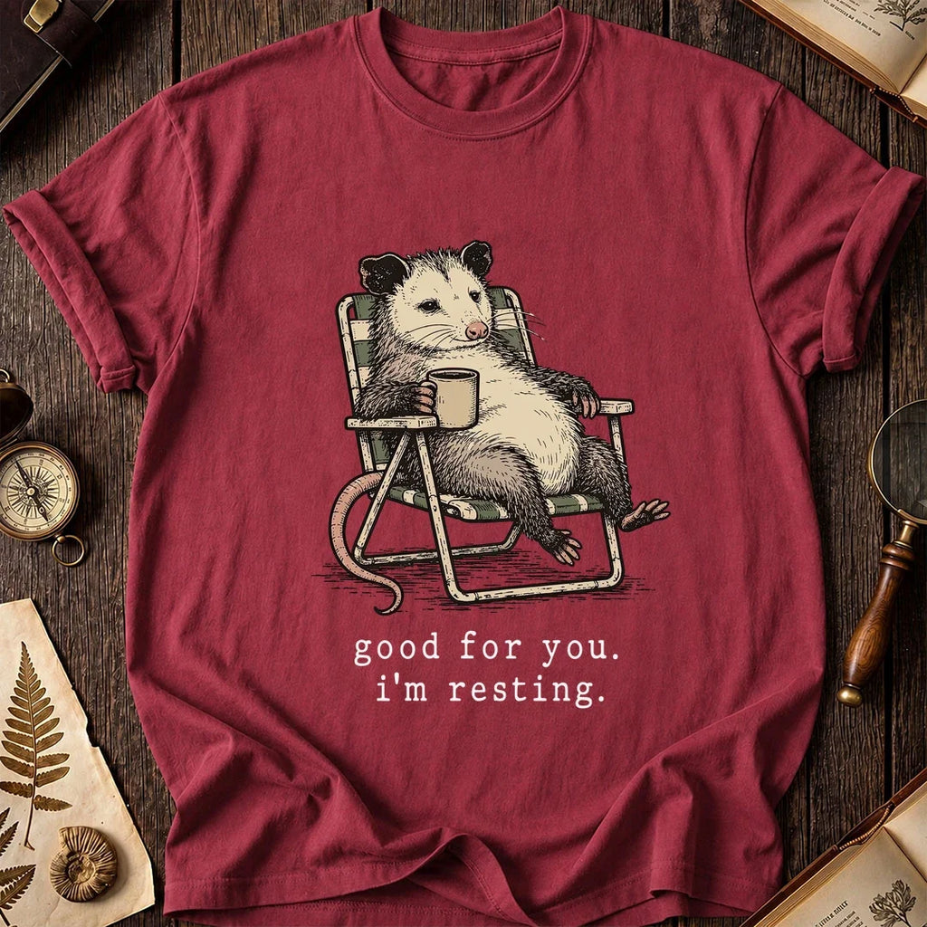 Rest Mode Possum T-Shirt product image 5