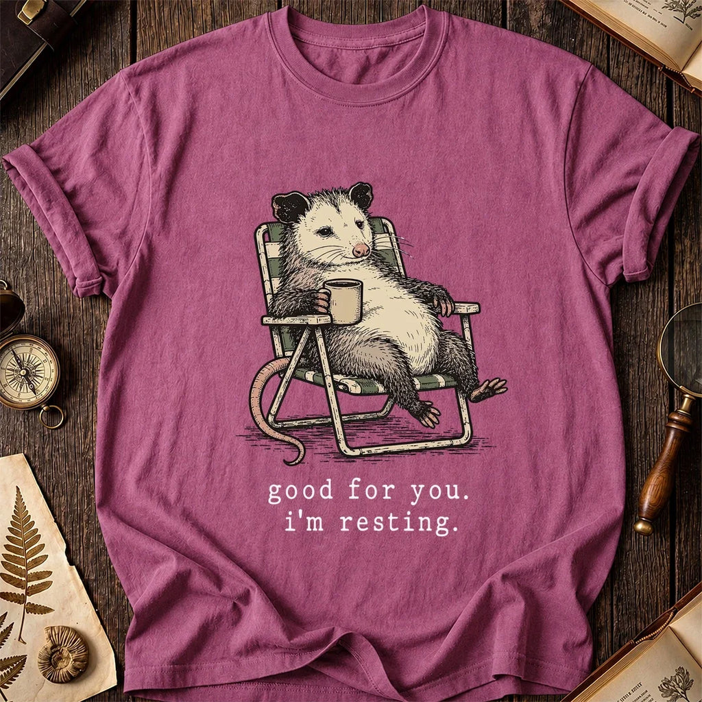 Rest Mode Possum T-Shirt product image 3