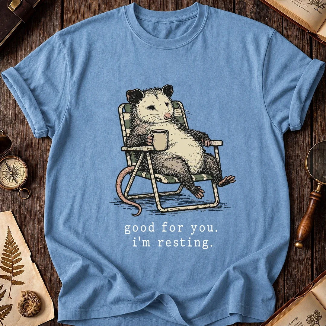 Rest Mode Possum T-Shirt product image 4