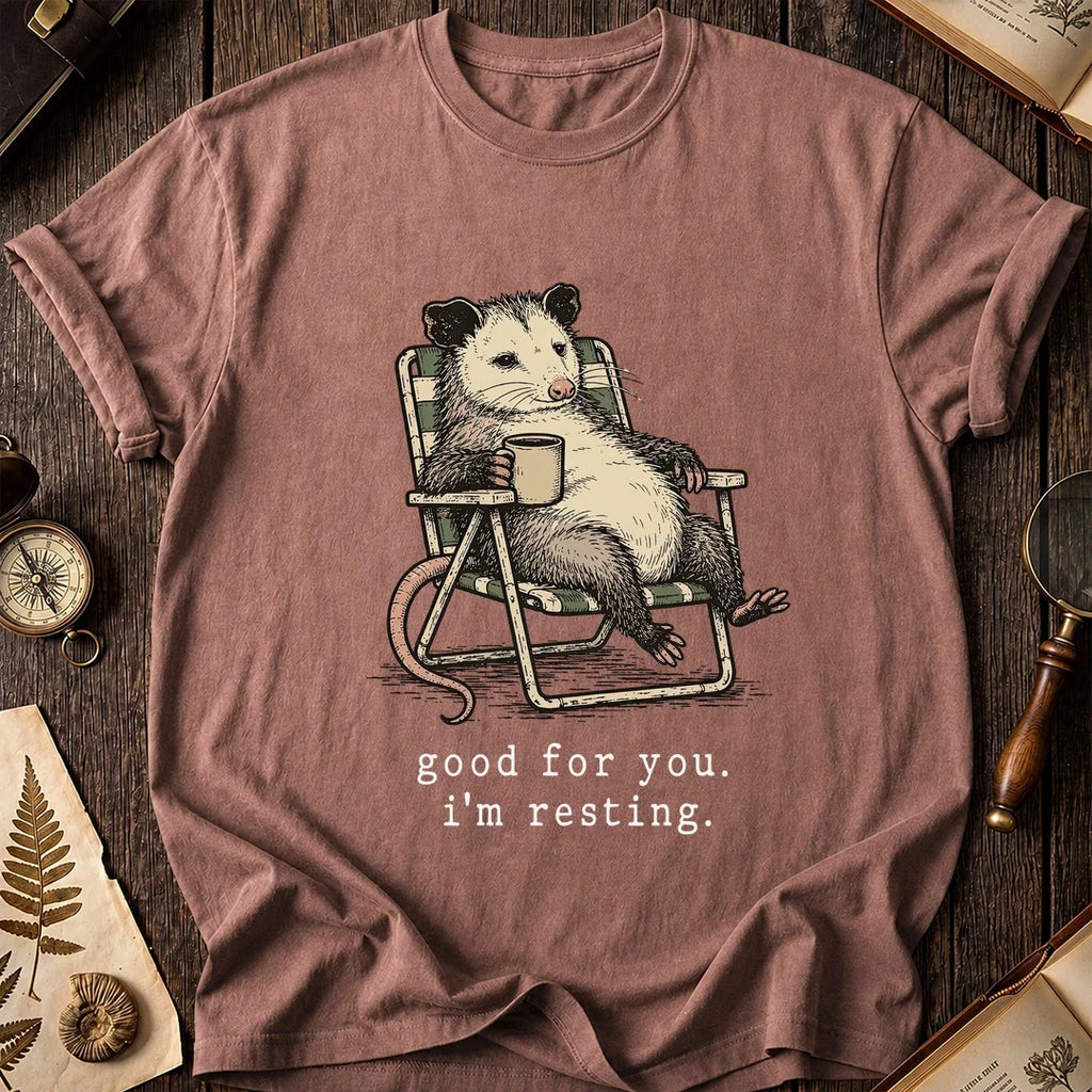 Rest Mode Possum T-Shirt product image 8