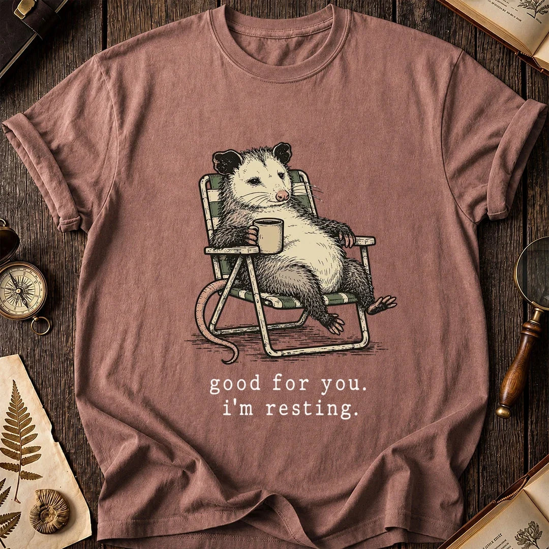 Rest Mode Possum T-Shirt product image 8