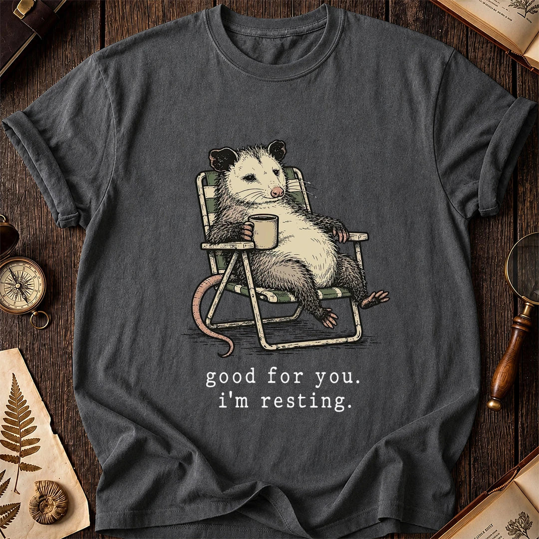 Rest Mode Possum T-Shirt product image 6
