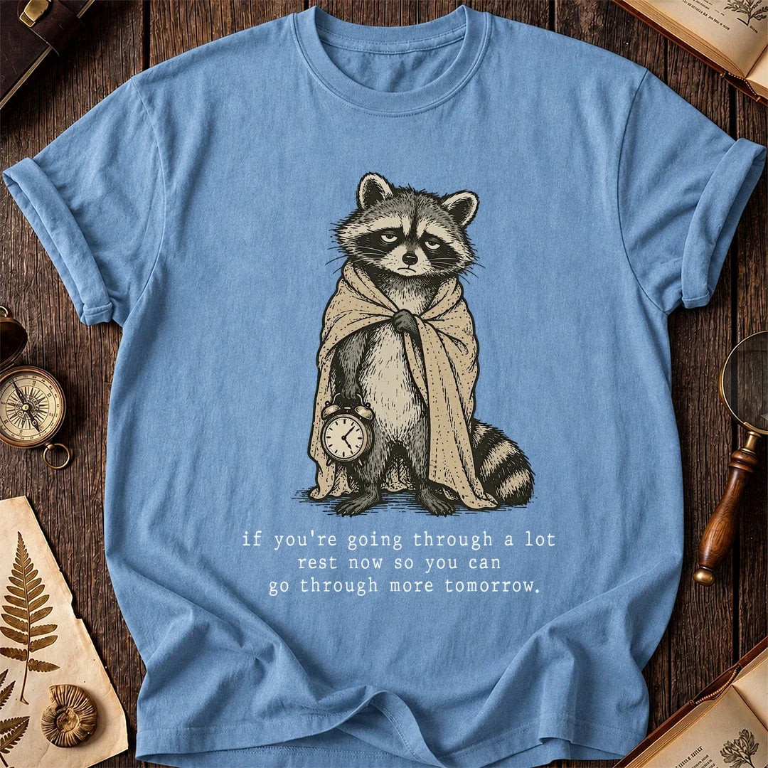 Rest Now Raccoon T-Shirt product image 4
