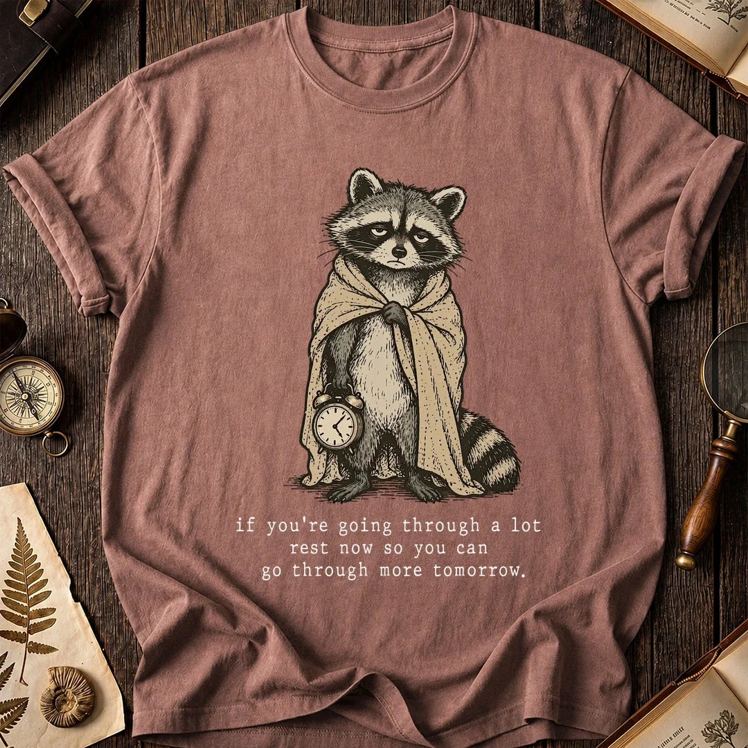 Rest Now Raccoon T-Shirt product image 8
